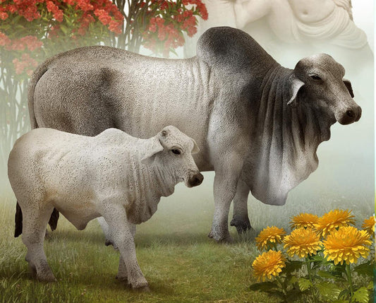 Breyer Brahman Bull