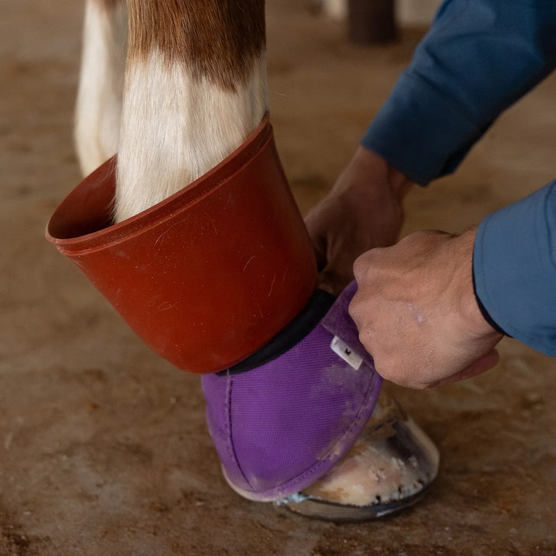 Classic Equine Shoeguard 360 Bell