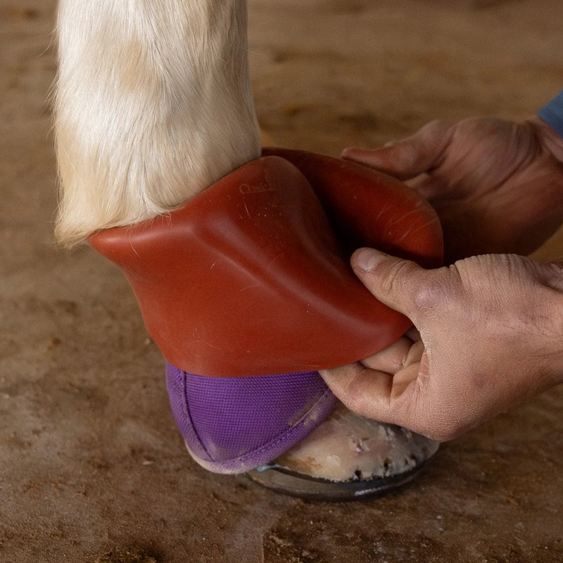 Classic Equine Shoeguard 360 Bell