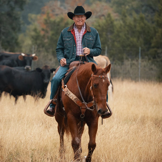 Resistol 6X Logan Black George Straight Cowboy Hat