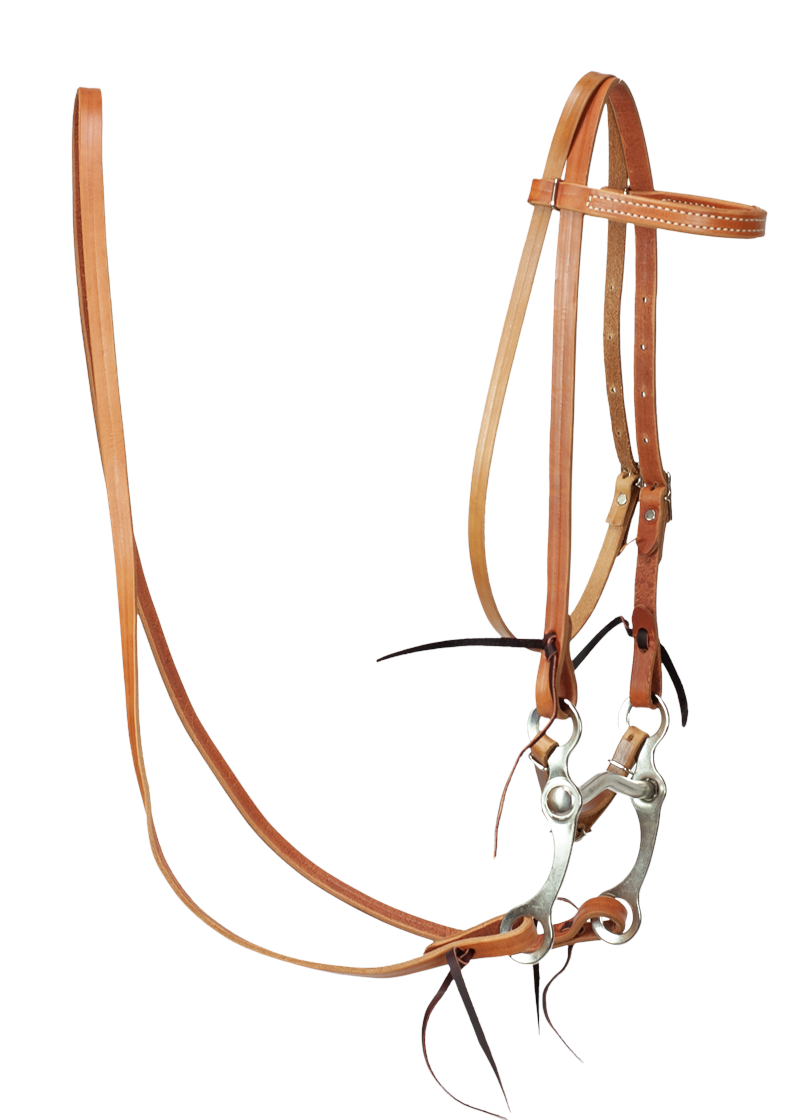 Bridle