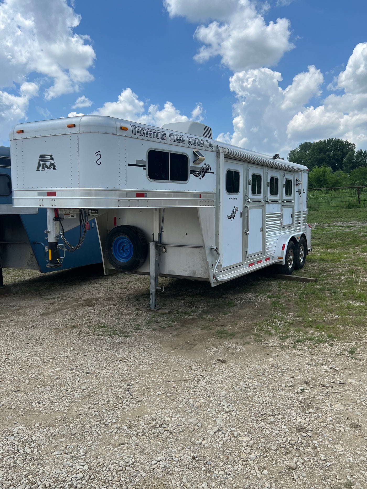 2011 Platinum 3 Horse