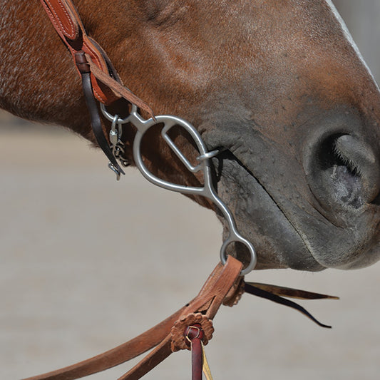 Classic Equine Les Vogt Shank Barrel Bit with Smooth Bar Port