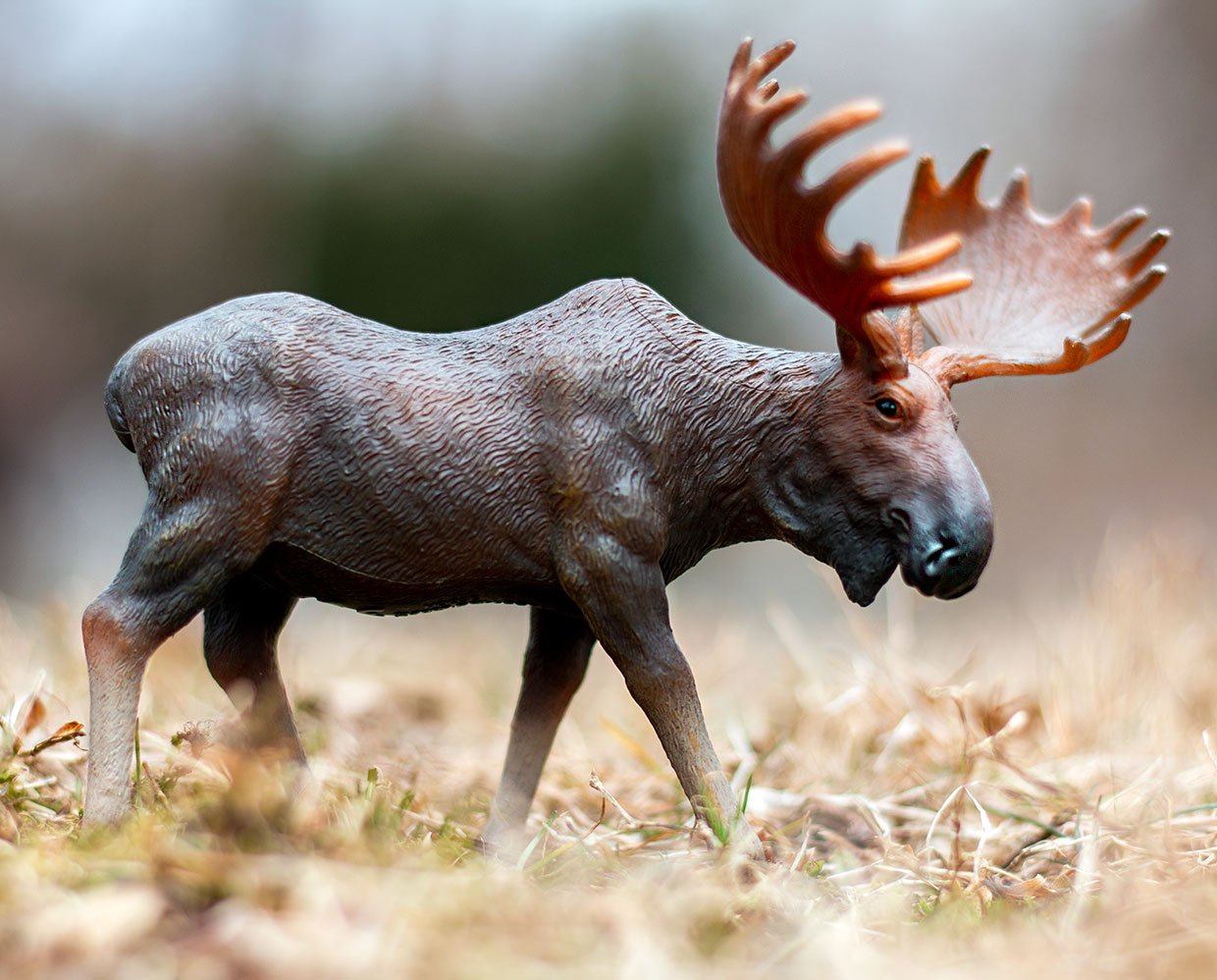 Breyer Moose