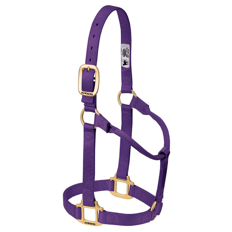 Weaver Original Non-Adjustable Nylon Halter, 1"  Small