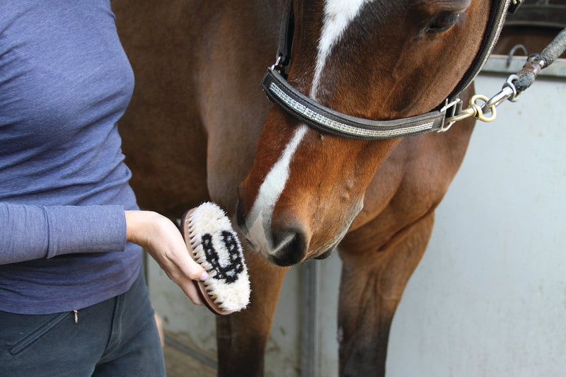 Tail Tamer Small Oval Wooden Brush