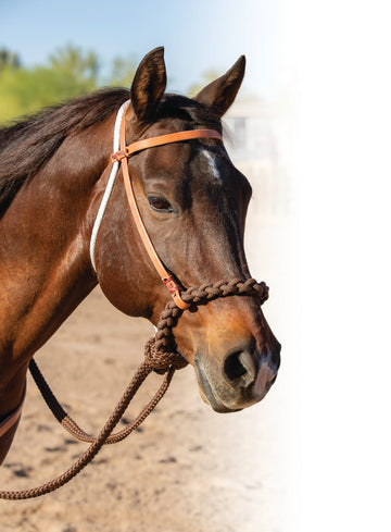 Professional's Choice Loping Hackamore
