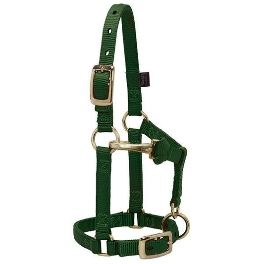 Weaver Adjustable Chin & Throat Snap Halter, Miniature Horse