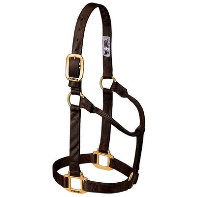 Weaver Non Adjustable Average Nylon Halter, 1"