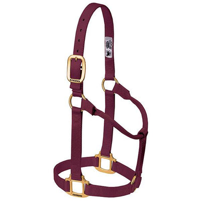 Weaver Non Adjustable Average Nylon Halter, 1"