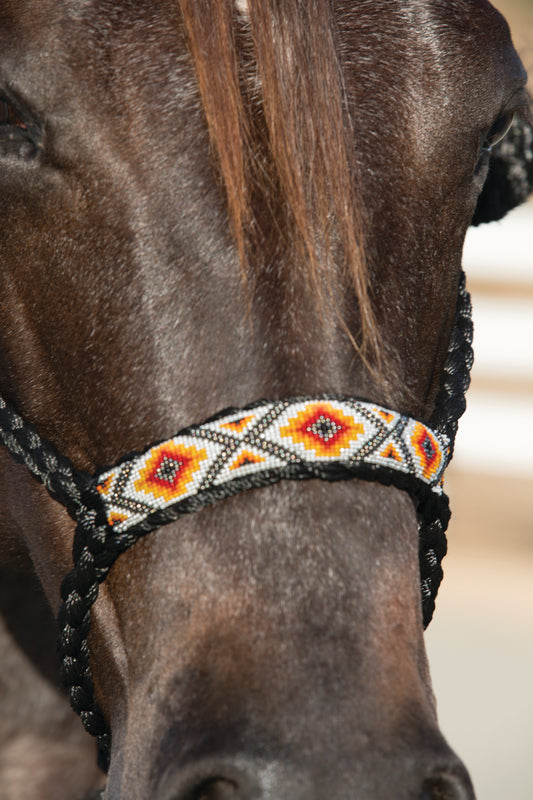 Professional's Choice Cowboy Braided Halter w/ 10' Lead