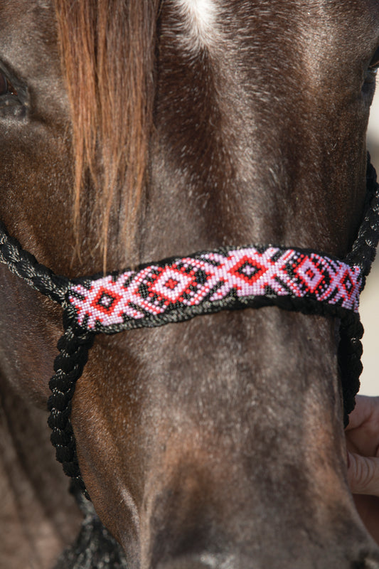 Professional's Choice Cowboy Braided Halter w/ 10' Lead