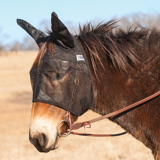 Cashel Quiet Ride Fly Mask