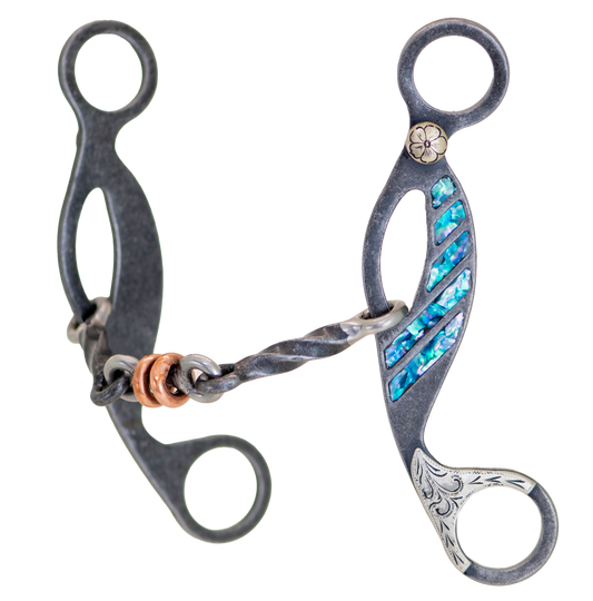 Partrade Cowboy Tack Turquoise Twisted Dog Bone Gag Bit