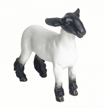 Little Buster Champion Crossbred Market Lamb
