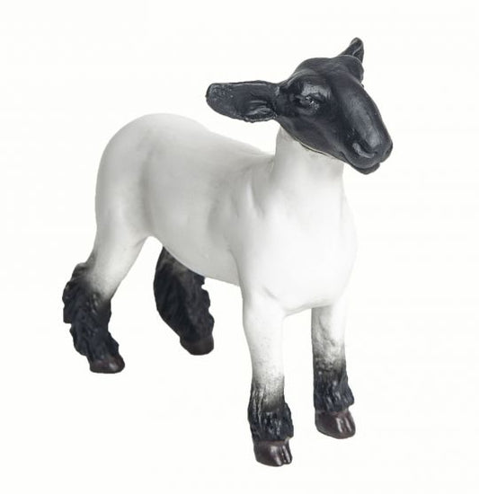 Little Buster Champion Crossbred Market Lamb