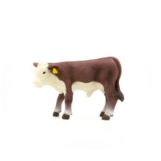 Little Buster Hereford Calf