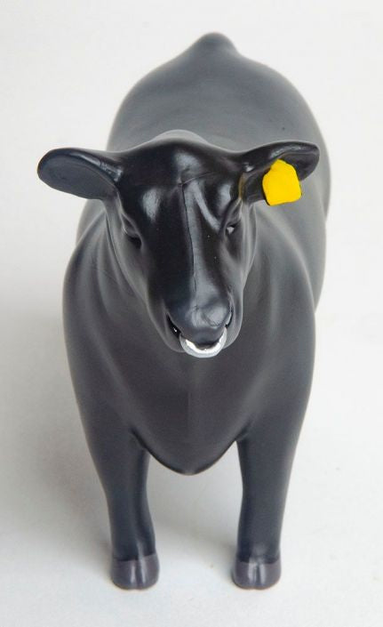 Little Buster Angus Show Bull w/ Nose Ring