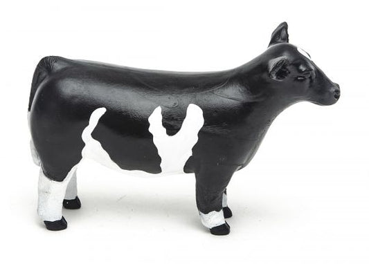 Little Buster Champion Show Steer Cross-Bred Black/White