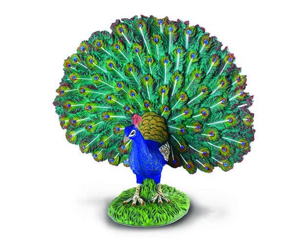 Breyer Peacock